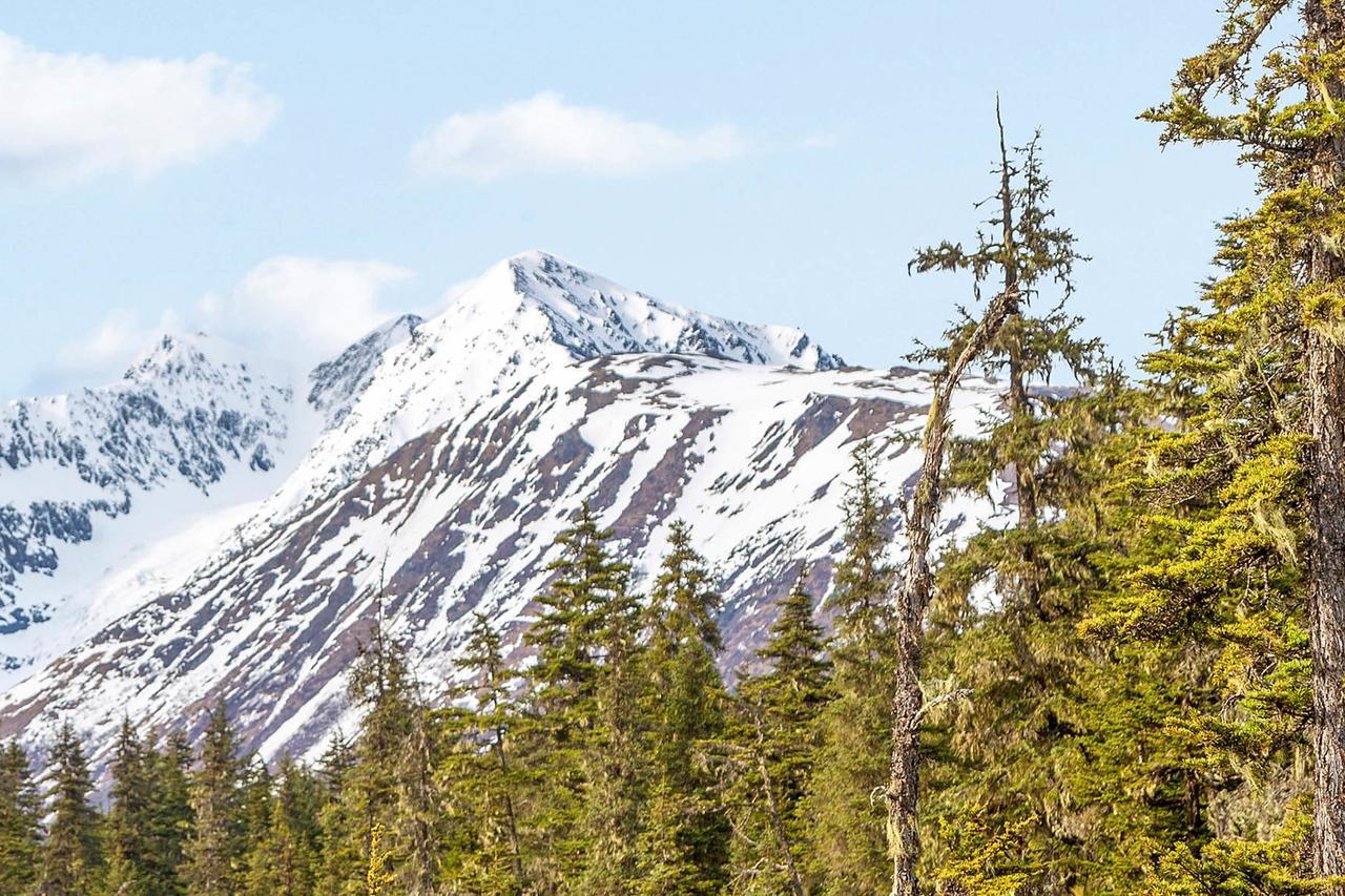 Brighton Condo #208 Girdwood Esterno foto