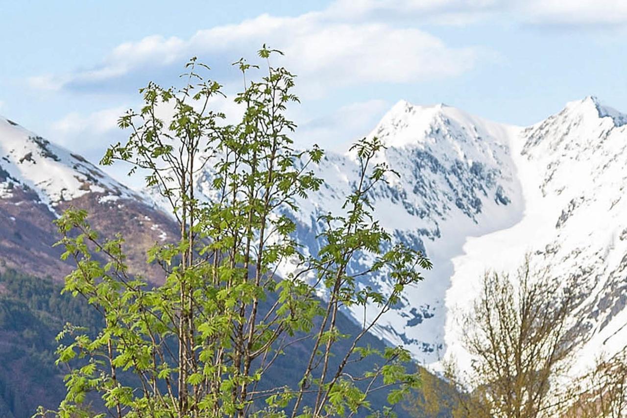 Brighton Condo #208 Girdwood Esterno foto