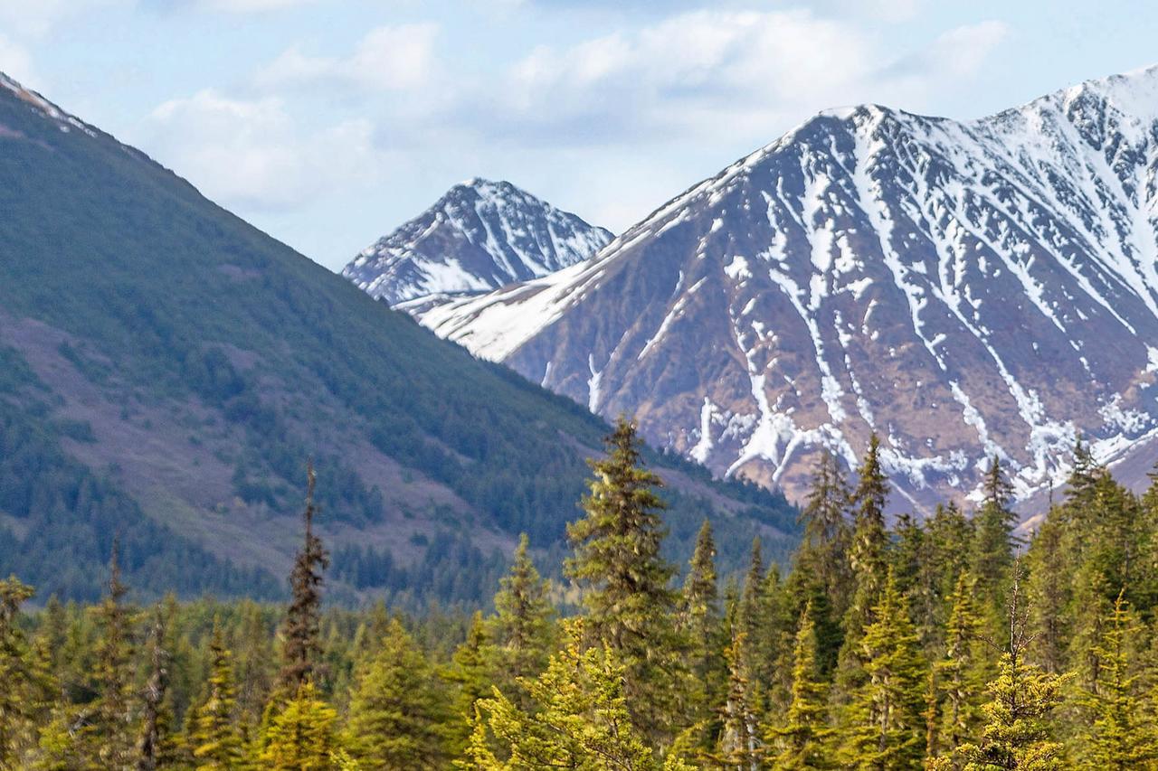 Brighton Condo #208 Girdwood Esterno foto